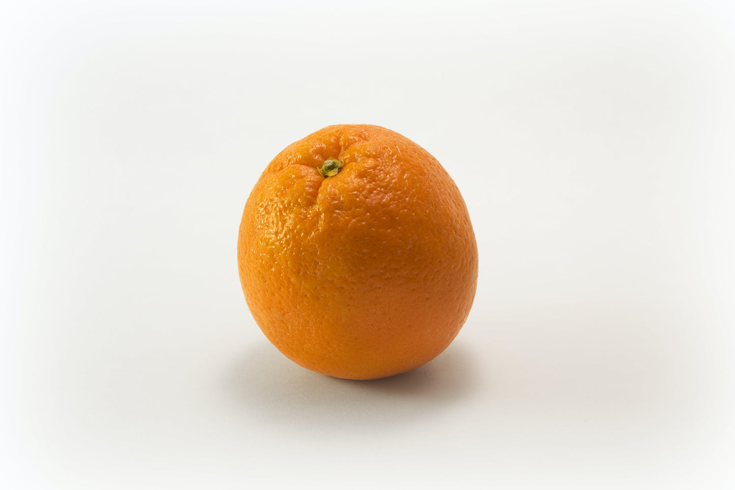 Una naranja navelina individual con fondo blanco
